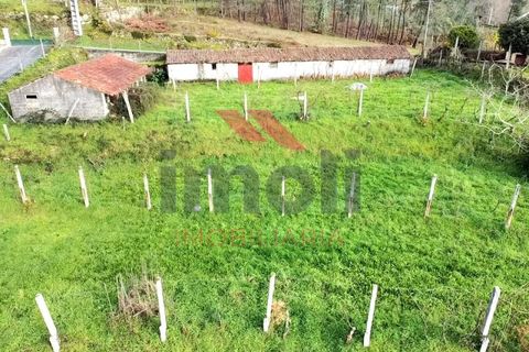 Helårsgrund i Arcos de Valdevez, Viana do Castelo, Arcos de Valdevez - € 80.000 | Ref: AVV-2396-MB-0225 - foto 5