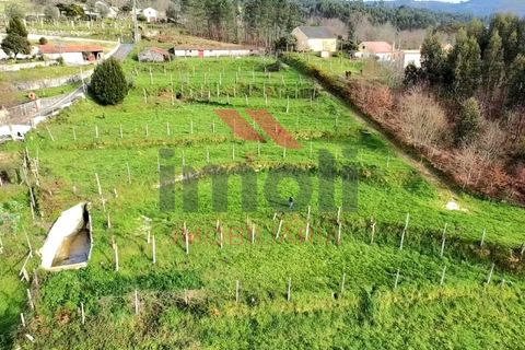Helårsgrund i Arcos de Valdevez, Viana do Castelo, Arcos de Valdevez - € 80.000 | Ref: AVV-2396-MB-0225 - foto 8