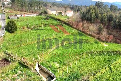 Helårsgrund i Arcos de Valdevez, Viana do Castelo, Arcos de Valdevez - € 80.000 | Ref: AVV-2396-MB-0225 - foto 9