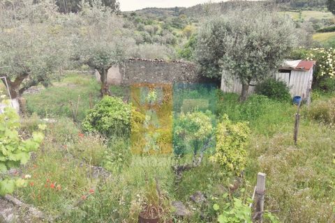 Byhus i Arez e Amieira do Tejo, Portalegre, Arez e Amieira do Tejo - € 50.000 | Ref: V548AMT35K - foto 18