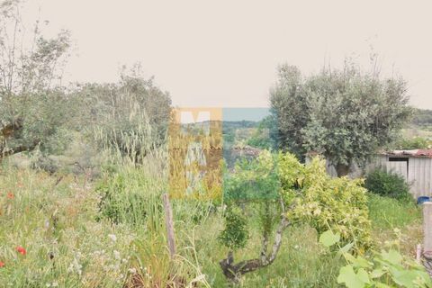 Byhus i Arez e Amieira do Tejo, Portalegre, Arez e Amieira do Tejo - € 50.000 | Ref: V548AMT35K - foto 17