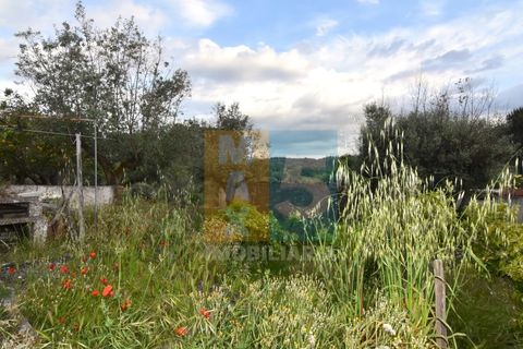 Byhus i Arez e Amieira do Tejo, Portalegre, Arez e Amieira do Tejo - € 50.000 | Ref: V548AMT35K - foto 15