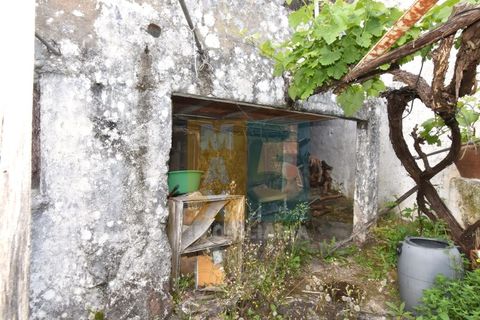 Byhus i Arez e Amieira do Tejo, Portalegre, Arez e Amieira do Tejo - € 50.000 | Ref: V548AMT35K - foto 16