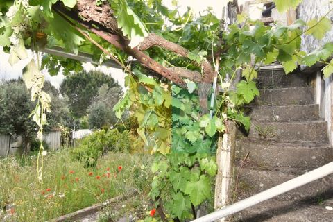 Byhus i Arez e Amieira do Tejo, Portalegre, Arez e Amieira do Tejo - € 50.000 | Ref: V548AMT35K - foto 19