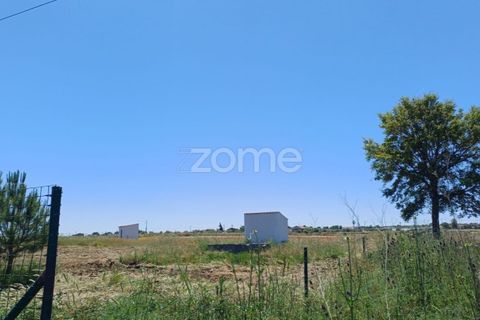 Helårsgrund i Evora, Evora, Evora - € 145.000 | Ref: ZMPT577636 - foto 11