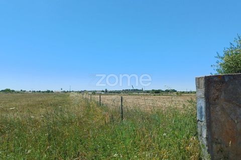 Helårsgrund i Evora, Evora, Evora - € 145.000 | Ref: ZMPT577636 - foto 3