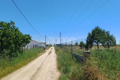 Helårsgrund i Evora, Evora, Evora - € 145.000 | Ref: ZMPT577636 - foto 12