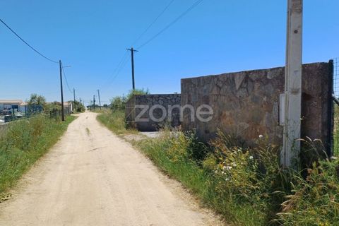 Helårsgrund i Evora, Evora, Evora - € 145.000 | Ref: ZMPT577636 - foto 15