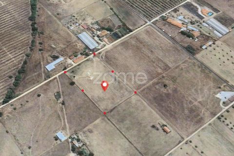 Helårsgrund i Evora, Evora, Evora - € 145.000 | Ref: ZMPT577636 - foto 16
