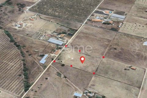 Helårsgrund i Evora, Evora, Evora - € 145.000 | Ref: ZMPT577636 - foto 17