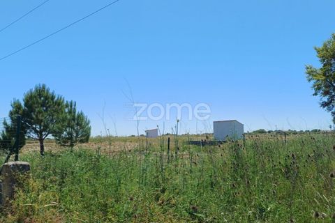 Helårsgrund i Evora, Evora, Evora - € 145.000 | Ref: ZMPT577636 - foto 10