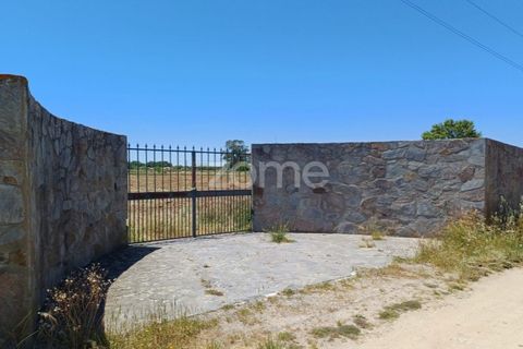 Terreno en Evora, Evora, Evora - € 145.000 | Ref: ZMPT577636 - photo 5