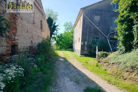 Farm i Castignano, Ascoli Piceno, Castignano - € 260.000 | Ref: 117 - foto 2