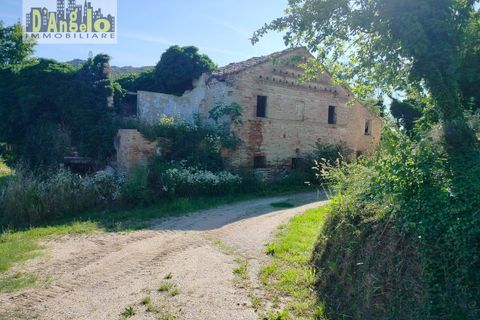 Farm i Castignano, Ascoli Piceno, Castignano - € 260.000 | Ref: 117 - foto 3