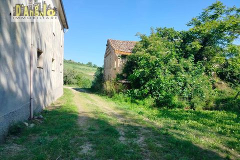 Farm i Castignano, Ascoli Piceno, Castignano - € 260.000 | Ref: 117 - foto 5