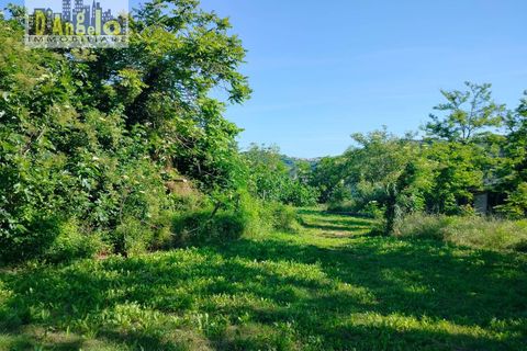 Farm i Castignano, Ascoli Piceno, Castignano - € 260.000 | Ref: 117 - foto 6