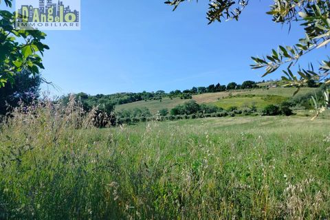 Farm i Castignano, Ascoli Piceno, Castignano - € 260.000 | Ref: 117 - foto 9