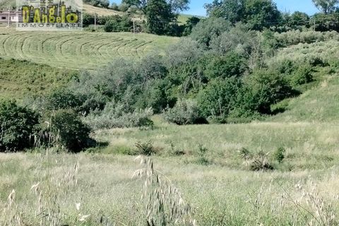Farm i Castignano, Ascoli Piceno, Castignano - € 260.000 | Ref: 117 - foto 10