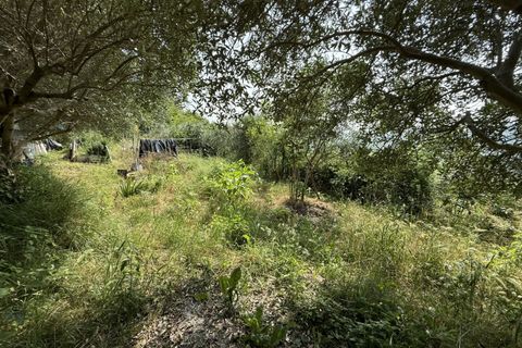 Landejendom i Tregnago, Verona, Tregnago - € 135.000 | Ref: 2160 - foto 6