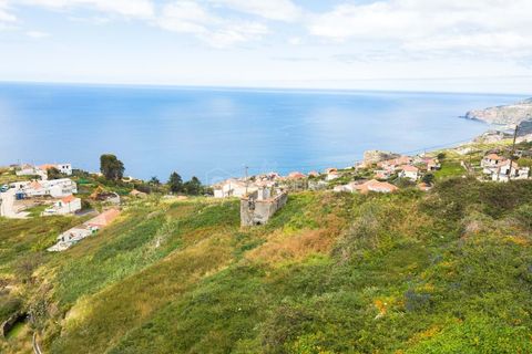 Villa i Ribeira Brava, Madeira, Ribeira Brava - € 235.000 | Ref: 25-1072 - foto 13