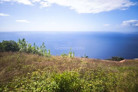 Villa i Ribeira Brava, Madeira, Ribeira Brava - € 235.000 | Ref: 25-1072 - foto 1