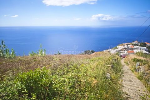 Villa i Ribeira Brava, Madeira, Ribeira Brava - € 235.000 | Ref: 25-1072 - foto 3