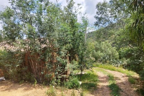 Farm hus i Monchique, Faro, Monchique - € 97.500 | Ref: KWPT-017300 - foto 3