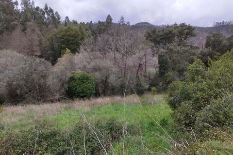Farm hus i Monchique, Faro, Monchique - € 97.500 | Ref: KWPT-017300 - foto 7