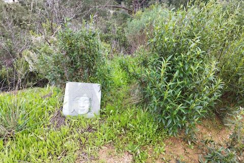 Farm hus i Monchique, Faro, Monchique - € 97.500 | Ref: KWPT-017300 - foto 11