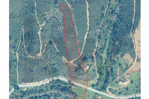 Farm hus i Monchique, Faro, Monchique - € 97.500 | Ref: KWPT-017300 - foto 20