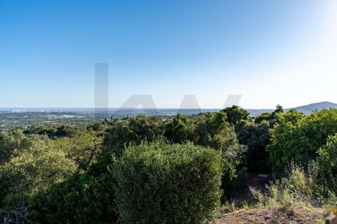 Villa a Conceicao e Estoi, Faro, Conceicao e Estoi - € 698.000 | Ref: KWPT-013940 - foto 23
