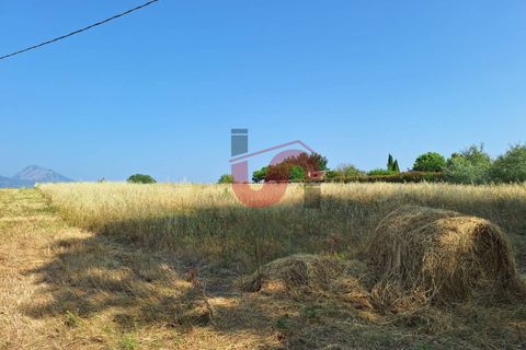 Helårsgrund i Benevento, Benevento, Benevento - € 35.000 | Ref: AA39705 - foto 2