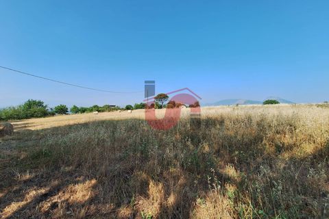 Helårsgrund i Benevento, Benevento, Benevento - € 35.000 | Ref: AA39705 - foto 3