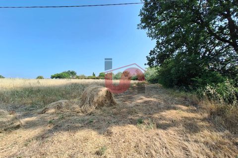 Helårsgrund i Benevento, Benevento, Benevento - € 35.000 | Ref: AA39705 - foto 5