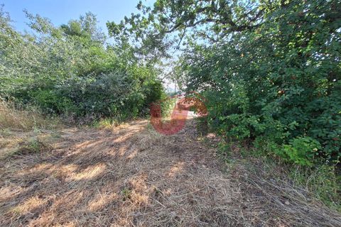 Helårsgrund i Benevento, Benevento, Benevento - € 35.000 | Ref: AA39705 - foto 6