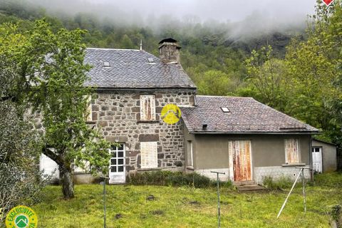 Villa i Pierrefort, Cantal, Pierrefort - € 77.500 | Ref: 100CAL109799 - foto 1