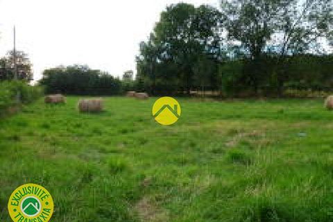 Villa a Meillant, Cher, Meillant - € 47.500 | Ref: 48CAL109499 - foto 6