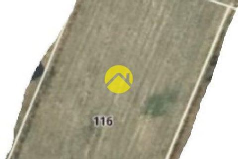 Terra a Tronget, Allier, Tronget - € 23.000 | Ref: 97CAL109392 - foto 2