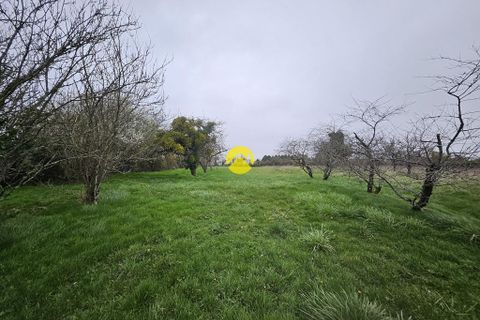 Villa i Cornusse, Cher, Cornusse - € 44.000 | Ref: 42MS110152 - foto 9