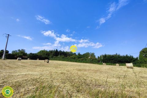 Terra a Torteron, Cher, Torteron - € 29.000 | Ref: 33CAL109042 - foto 4