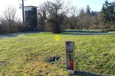 Terra a Charost, Cher, Charost - € 20.615 | Ref: 25MS109109 - foto 3