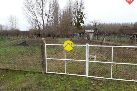 Terra a Charost, Cher, Charost - € 18.000 | Ref: 25MS108903 - foto 3