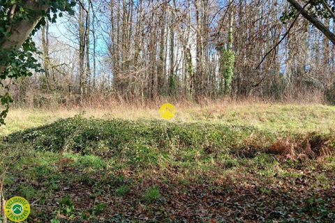 Helårsgrund i Marsac, Creuse, Marsac - € 23.720 | Ref: 112CAL108668 - foto 4