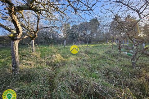Terra a Nérondes, Cher, Nérondes - € 19.000 | Ref: 42CAL108411 - foto 8