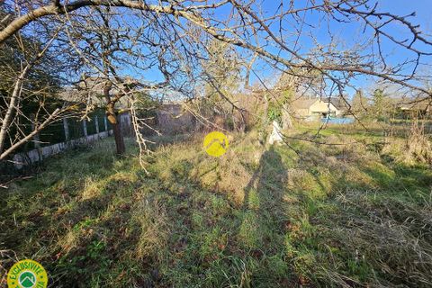 Terra a Nérondes, Cher, Nérondes - € 19.000 | Ref: 42CAL108411 - foto 9