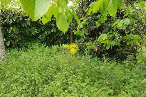 Villa a Les Bordes, Indre, Les Bordes - € 17.500 | Ref: 80MS108363 - foto 8