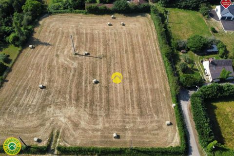 Terra a Torteron, Cher, Torteron - € 18.000 | Ref: 33CAL108522 - foto 3