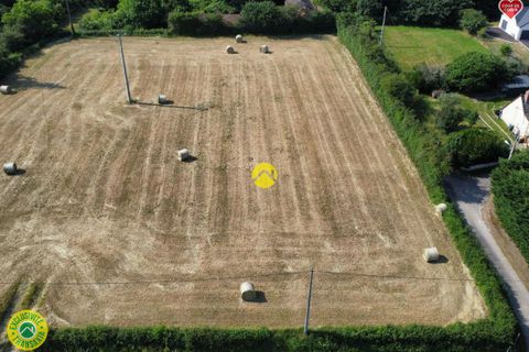 Terra a Torteron, Cher, Torteron - € 18.000 | Ref: 33CAL108522 - foto 4