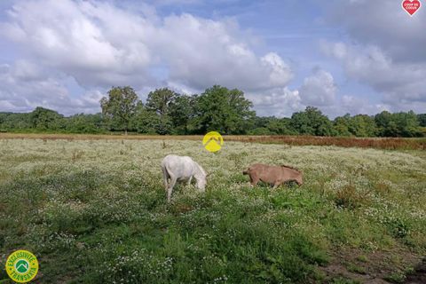 Landejendom i Cheniers, Creuse, Cheniers - € 238.000 | Ref: 58CAL105122 - foto 16