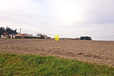 Helårsgrund i Mouterre-Silly, Vienne, Mouterre-Silly - € 19.000 | Ref: 73MS104361 - foto 4